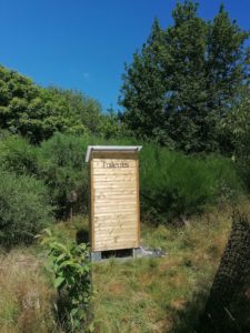 IMG_20220528_124127
